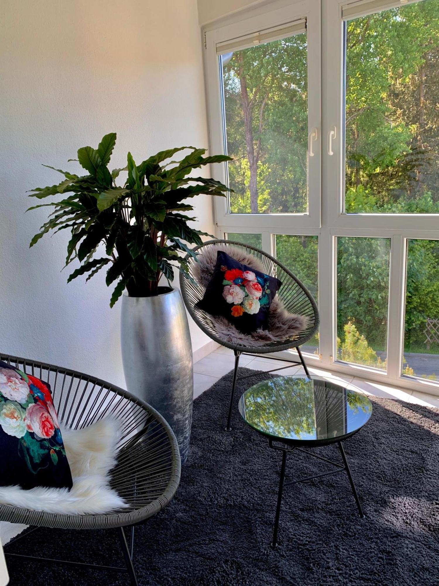 Ferienwohnung Homburger - Titisee 외부 사진